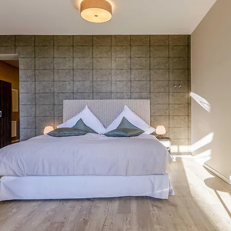 Seeschwalbe In Der Alten Seefahrtschule *