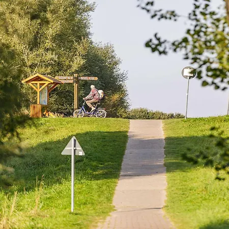 Seeschwalbe In Der Alten Seefahrtschule