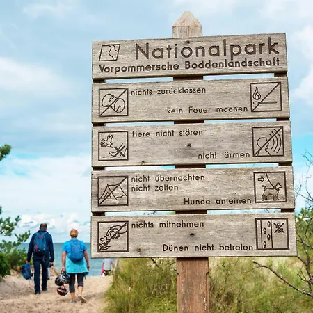 Seeschwalbe In Der Alten Seefahrtschule