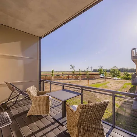 Seeschwalbe In Der Alten Seefahrtschule Wustrow (Fischland)